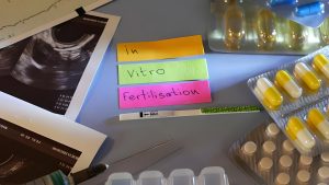 vitro fertilization