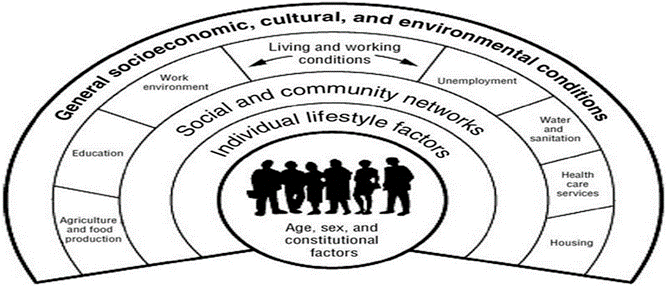 Adapted from Dahlgren and Whitehead (1991)